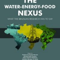 The water-energy-food nexus: what the Brazilian research has to say