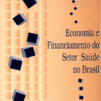 Economia e financiamento do setor saúde no Brasil: balanços e perspectivas do processo de descentralização