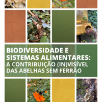 Biodiversidade e sistemas alimentares: a contribuição (in)visível das abelhas sem ferrão