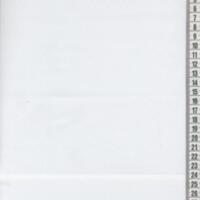 T3131.jpg