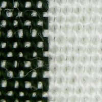 T1248.5.jpg