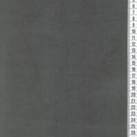 T3193.jpg