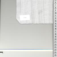 T0875.jpg