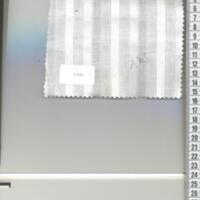 T0876.jpg