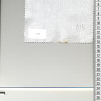 T0864.jpg