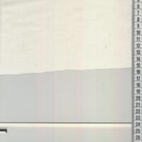 T2918.jpg