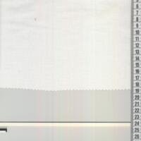 T2919.jpg
