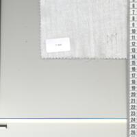 T0869.jpg