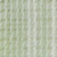 T1284.3.jpg
